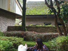 -中铁花水湾温泉酒店(大邑店)