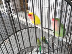 -老味道民宿(栈桥店)