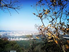 -紫金山山顶公园