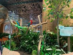 -杭州开元森泊度假乐园