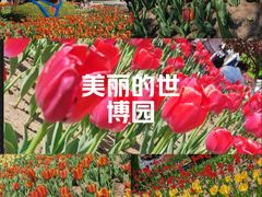 -沈阳植物园