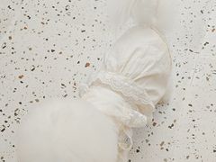 -瑞派康怡24h宠物医院·犬猫医疗中心·微创绝育(瑞景分院)
