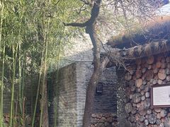 -田德能咖啡博物馆