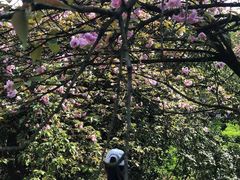 -石峰公园