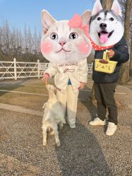 -前小桔亲子创意农场·草莓采摘·露营烧烤