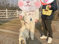 -前小桔亲子创意农场·草莓采摘·露营烧烤