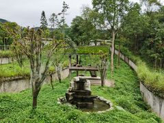 -中国大熊猫保护研究中心雅安碧峰峡基地