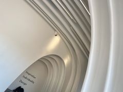 -喜茶(迪士尼小镇DP店)