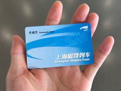 -龙阳路磁悬浮列车总站-停车场