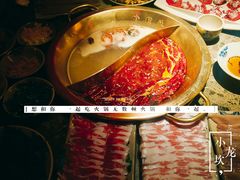-小龙坎火锅(泉舜店)