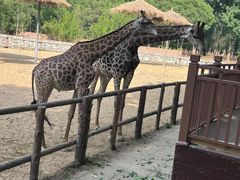 -北京野生动物园