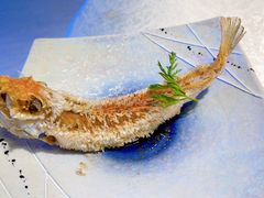 马头鱼-海游荟·海洋文化餐厅(福田店)