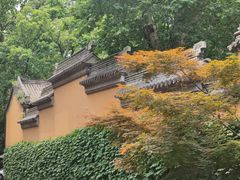 -灵谷景区