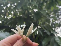 -二荆条·蜀鲜汇城市森林火锅