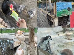 -水上乐园·欢乐世界