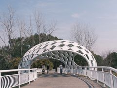 -同里国家湿地公园