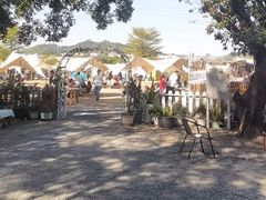 -长洲岛都市农业公园