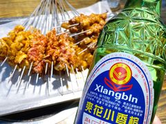 -海波肉串(金顶山大街店)