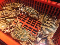 -79号渔船海鲜饭店(华强北店)