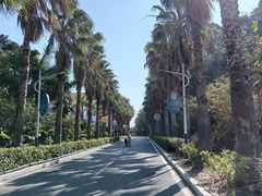 -黄金海岸环岛路