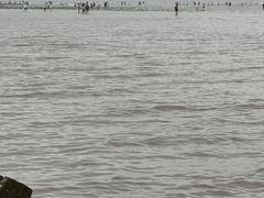 -南汇新城海滩