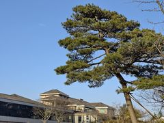 -江南天池