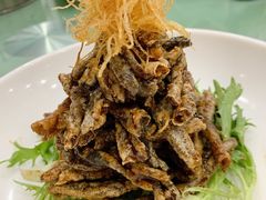 -中国饭店-餐厅