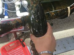 水产区-蚝专家(北滘店)