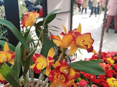 -北京植物园-展览温室