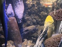 -海合安青岛极地海洋公园