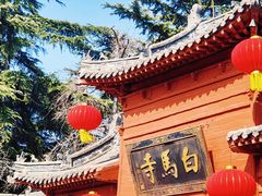 -洛阳白马寺