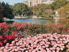 -荔湾湖公园