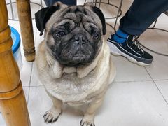 -双冰面馆(茶南店)