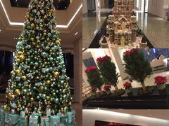 -上海波特曼丽思卡尔顿酒店