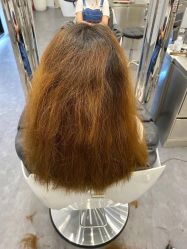 -IP SALON
