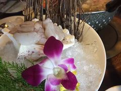 -鼎王麻辣锅(七贤店)