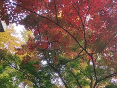 -北京友谊宾馆·俄罗斯餐厅