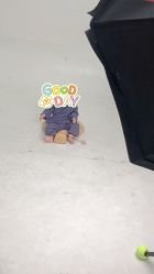 点击看大图 -玛瑞莎·儿童·亲子摄影(越秀店)