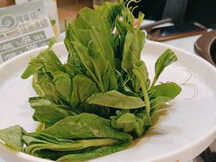 -烹然四季椰子鸡火锅(团结湖总店)