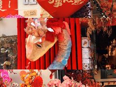 -溪岸路花鸟市场