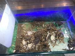 -比尔森啤酒自助烤肉(红旗街店)