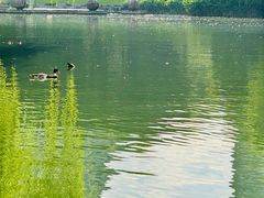 -杭州城北体育公园