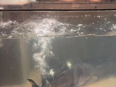 -上名堂·鱼头好吃(体育场路店)