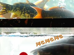 -浔味·山屿湖·正宗淳牌全鱼宴老字号