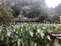 -韶山毛泽东同志故居