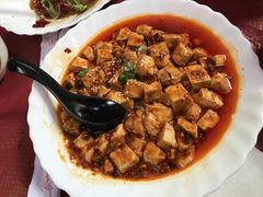 -熊猫川菜馆 panda chine