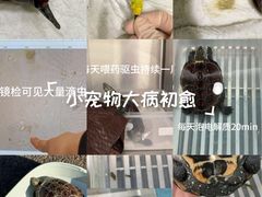-悦宠动物医院(京丰分院)