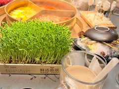 -湊湊火锅·茶憩(南京万象天地店)