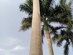 -五通灯塔公园