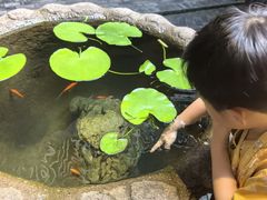 -31号公馆(黄兴广场白果园店)